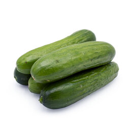 خیار گلخانه‌ای